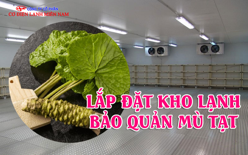 bên trong kho lạnh bảo quản mù tạt