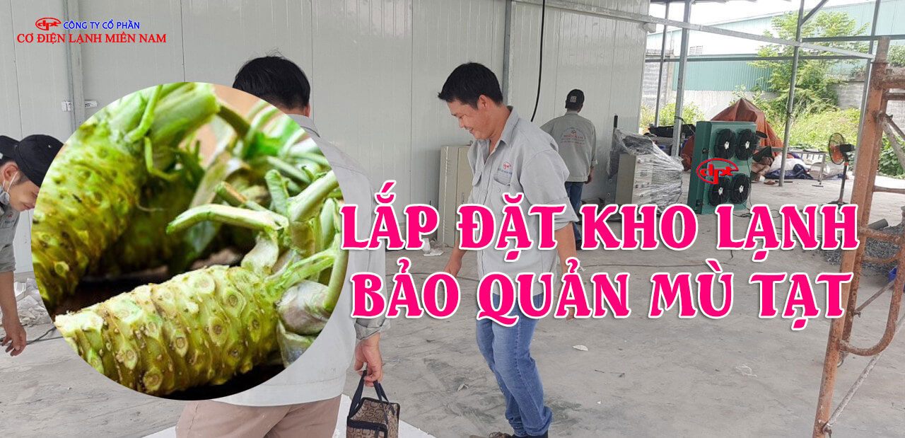 thi công kho lạnh bảo quản mù tạt chuyên nghiệp