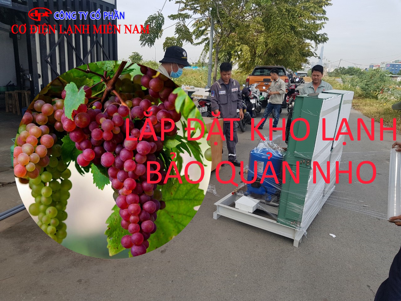 Kho lạnh bảo quản nho công nghiệp nhiệt độ 0-2 độ C đạt chuẩn