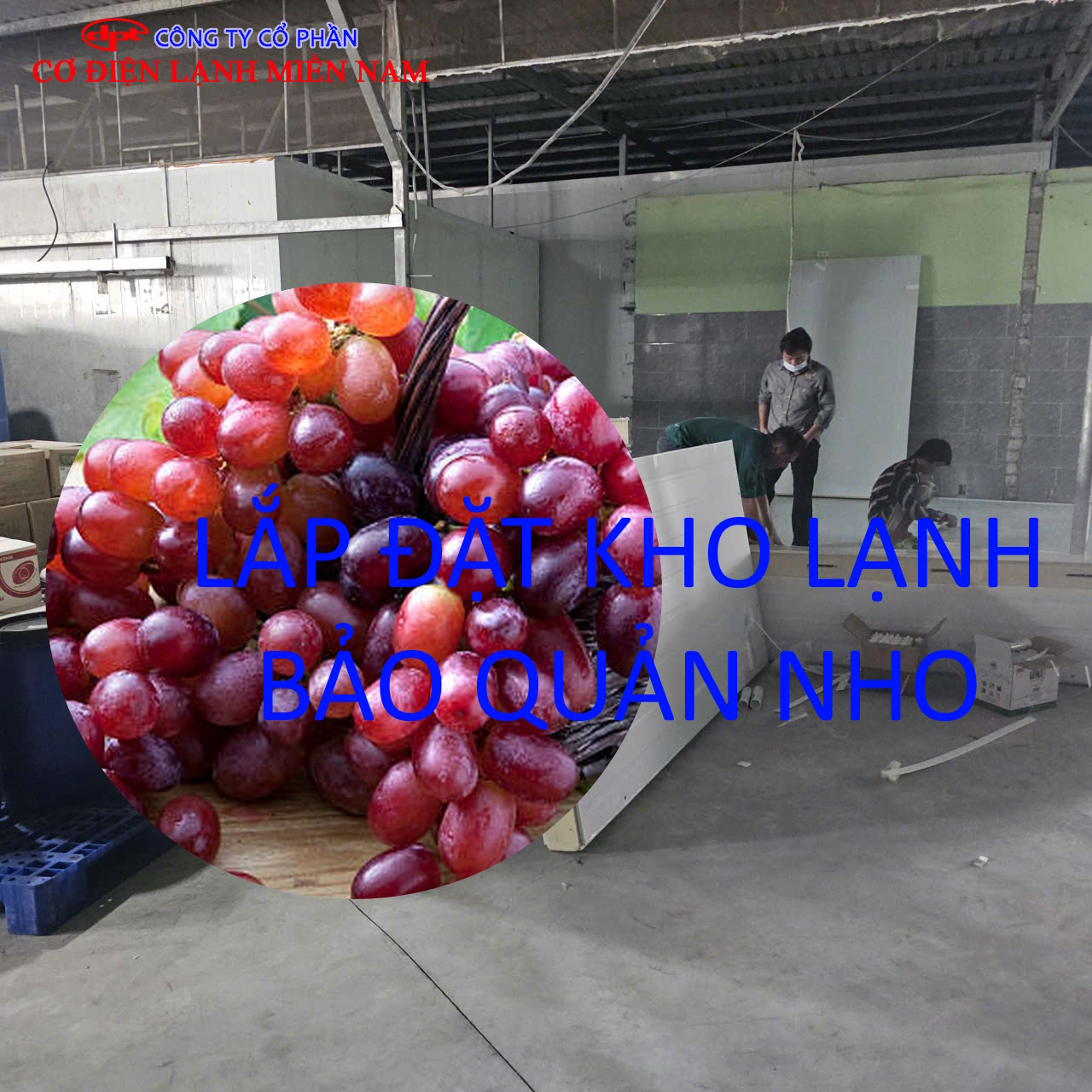 Thi công lắp đặt kho lạnh bảo quản nho chuyên nghiệp tại công trình
