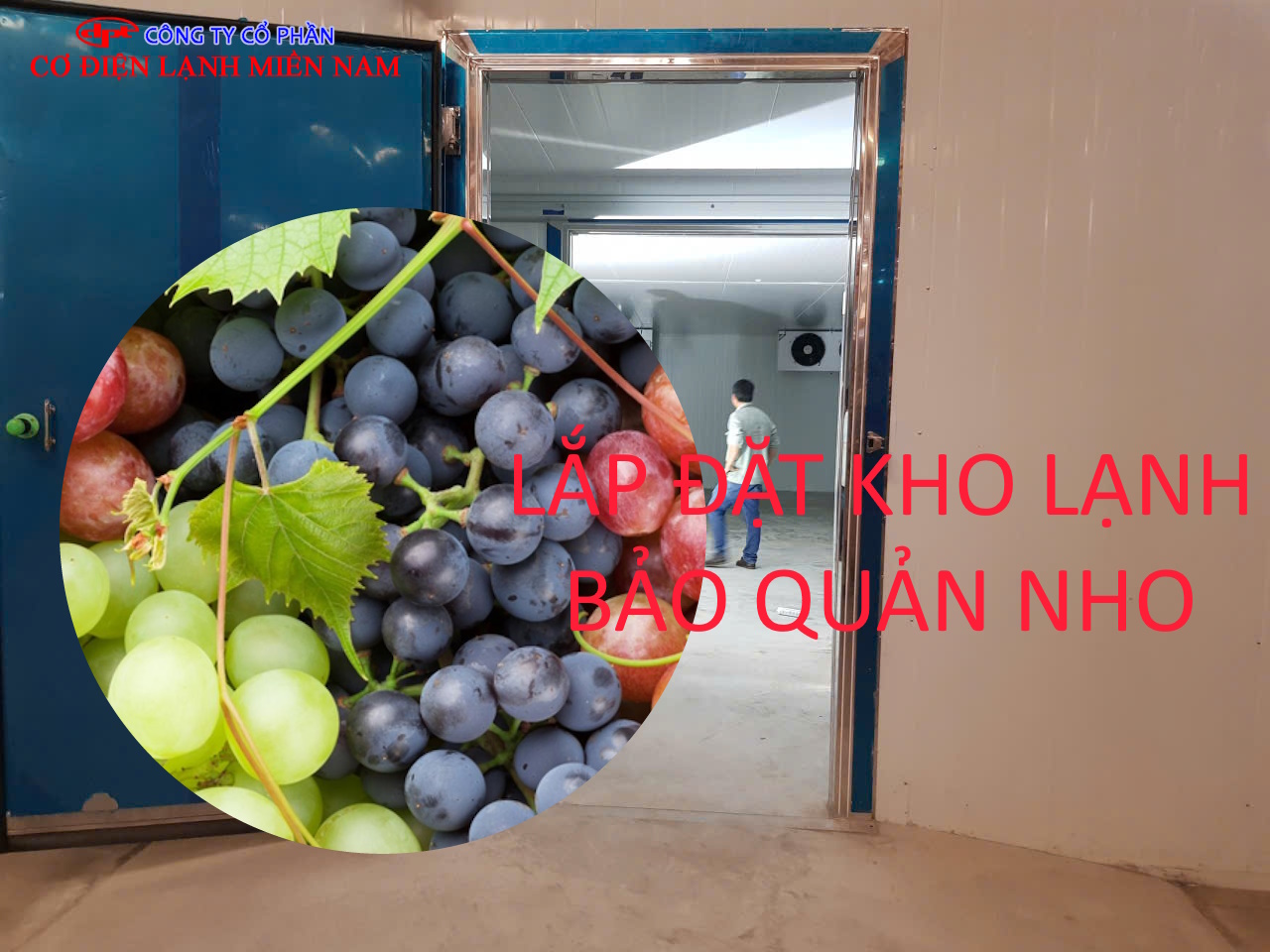Hệ thống máy nén và thiết bị làm lạnh kho lạnh bảo quản nho