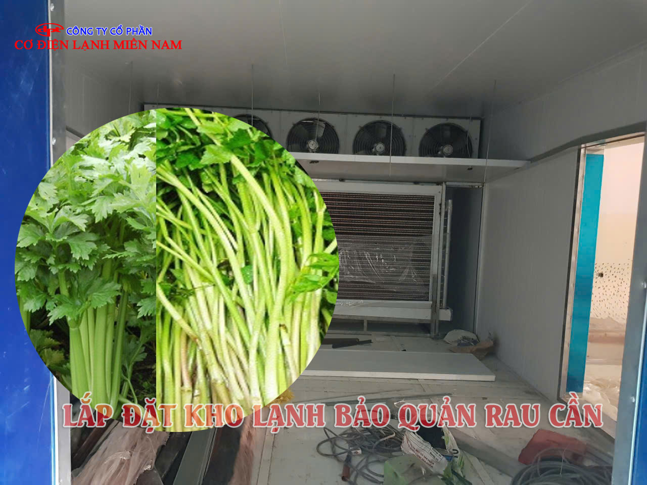 Hệ thống dàn lạnh kho lạnh rau cần hoạt động hiệu quả