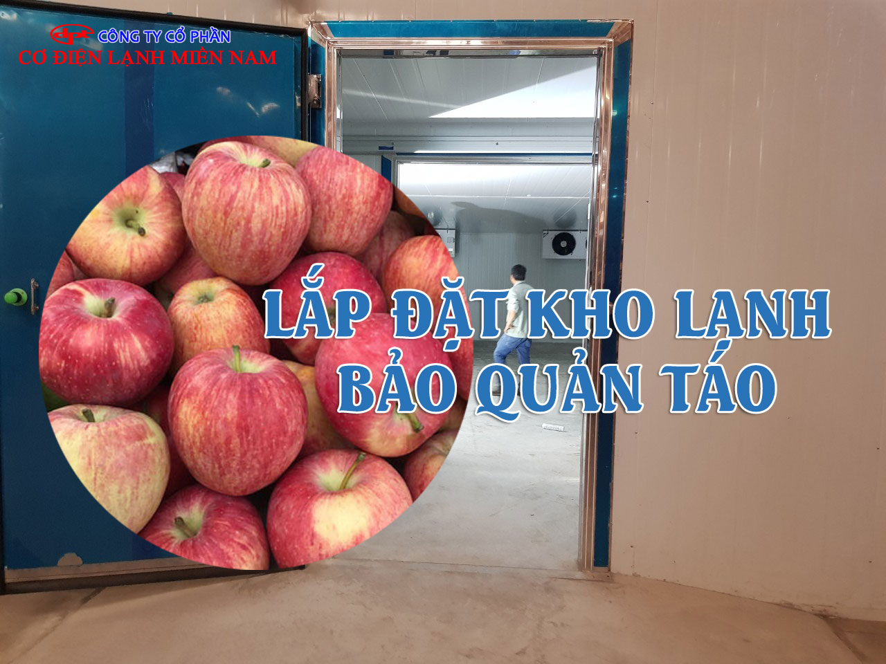 kho lạnh bảo quản táo công nghiệp hiện đại