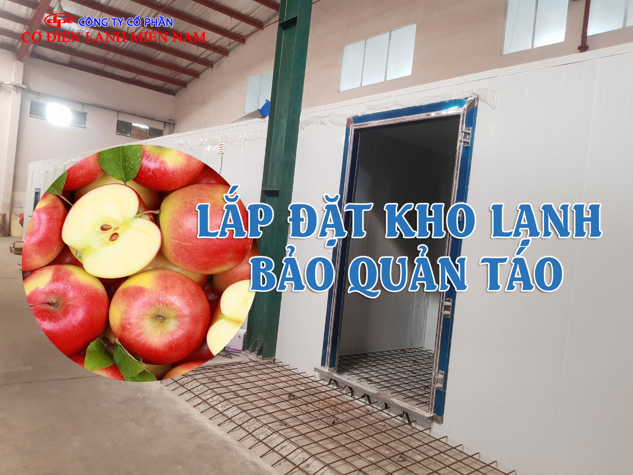 hệ thống điều khiển kho lạnh bảo quản táo