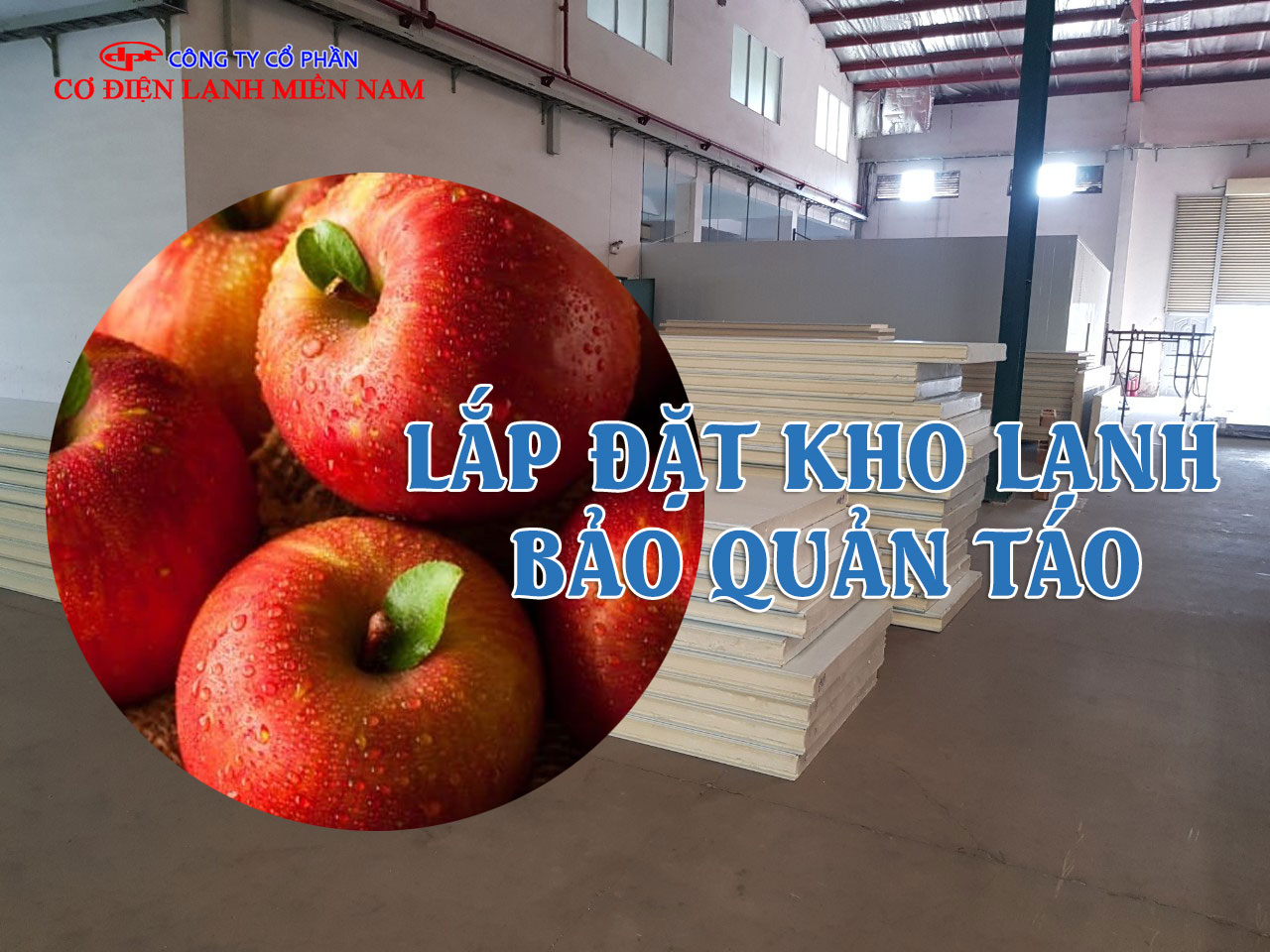 táo được bảo quản trong kho lạnh đúng tiêu chuẩn