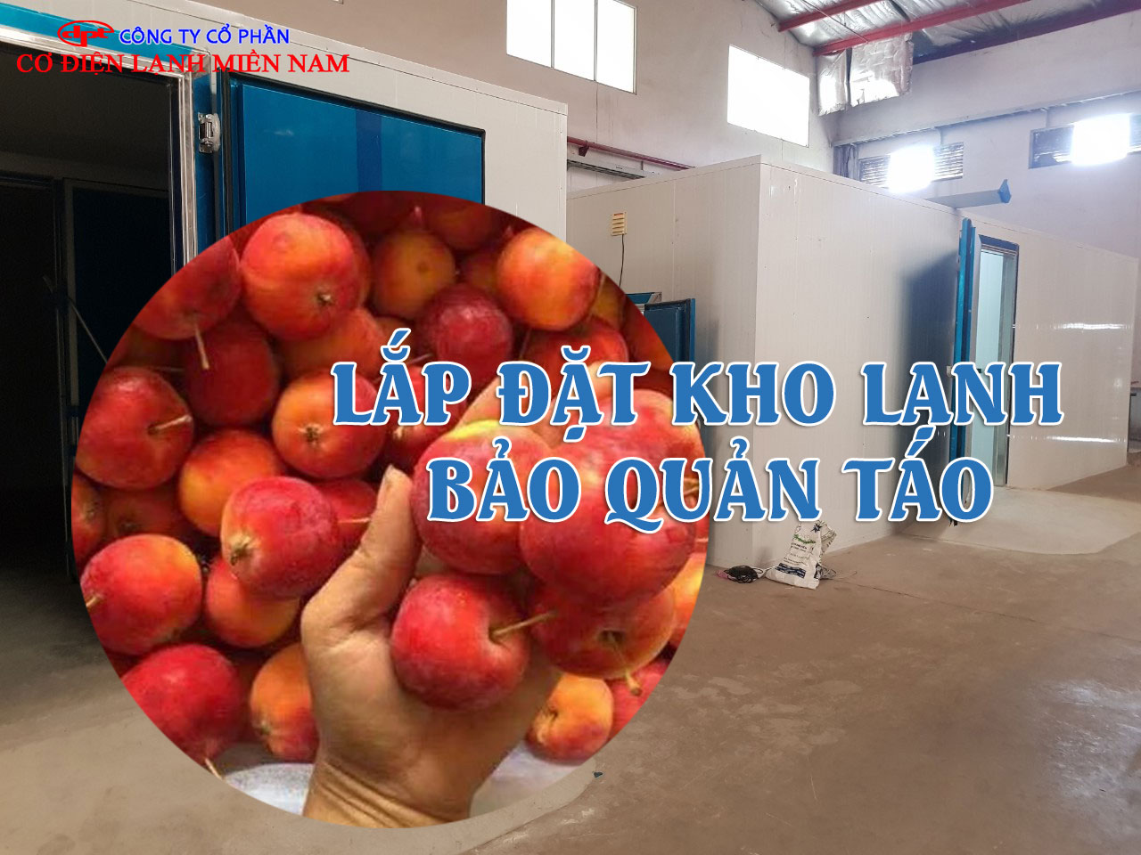 thi công lắp đặt kho lạnh bảo quản táo