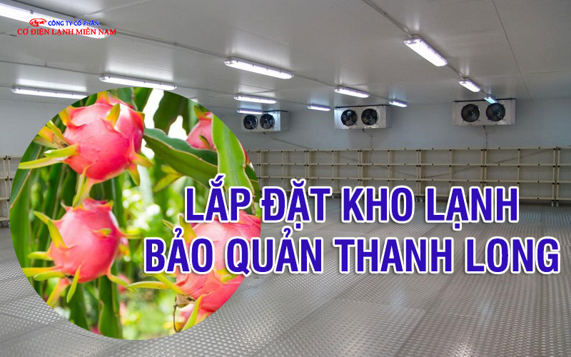 Kho lạnh bảo quản thanh long quy mô lớn với hệ thống làm lạnh hiện đại