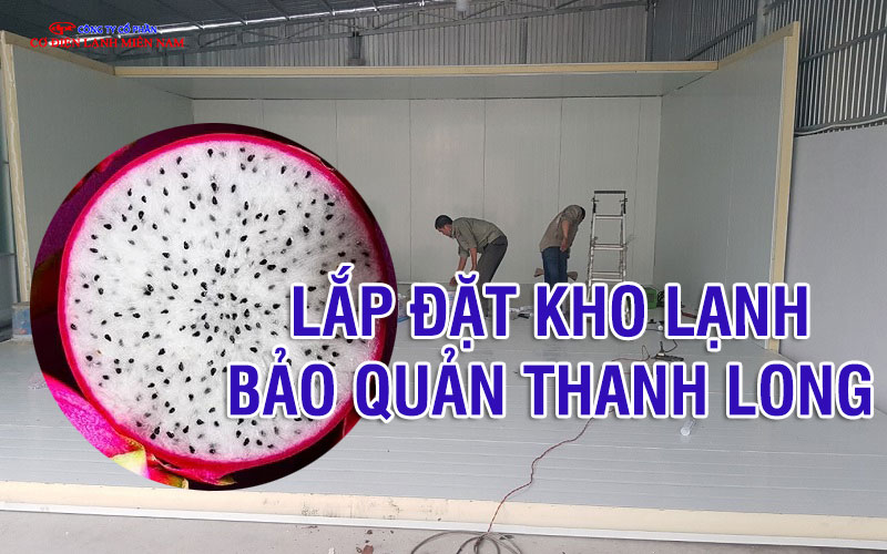Thanh long được sắp xếp trong kho lạnh đảm bảo thông thoáng