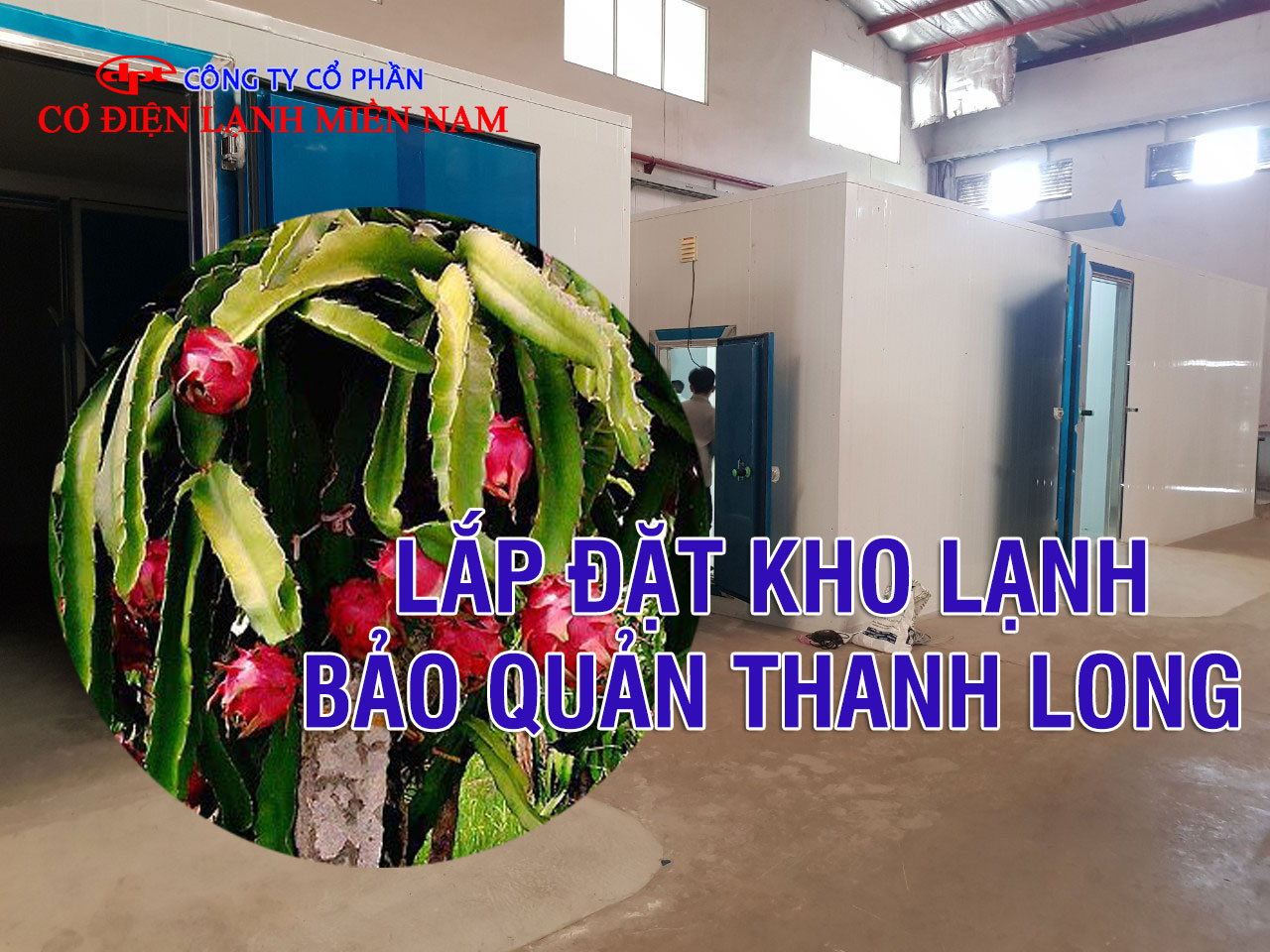 Thi công lắp đặt kho lạnh bảo quản thanh long chuyên nghiệp