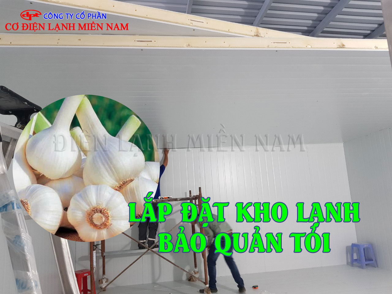 sắp xếp tỏi trong kho lạnh khoa học