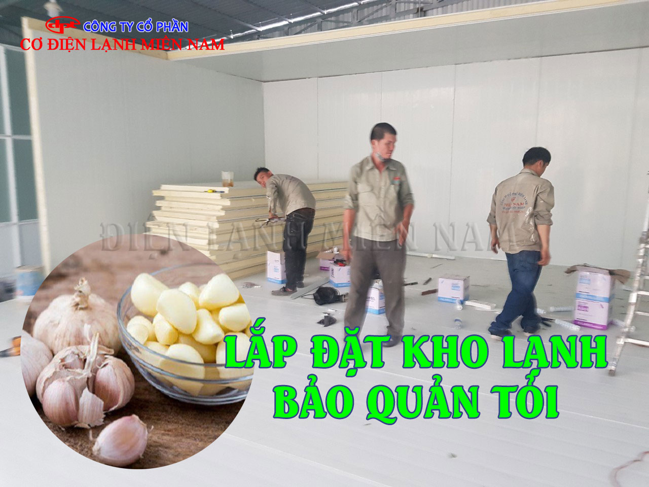 kho lạnh bảo quản tỏi số lượng lớn cho doanh nghiệp