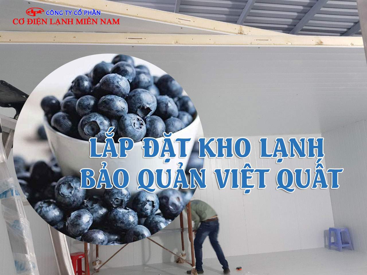 kho lạnh bảo quản việt quất hiện đại công nghiệp