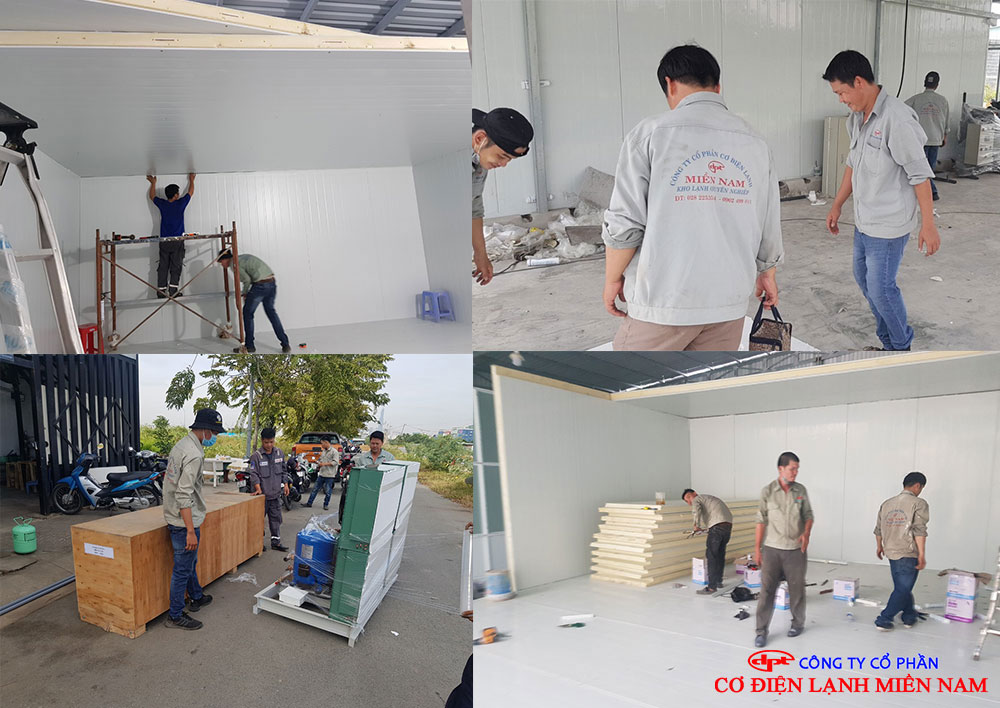 Điện Lạnh Miền Nam thi công kho lạnh chuyên nghiệp