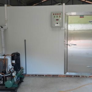 Kho Lạnh Tiết Kiệm Điện