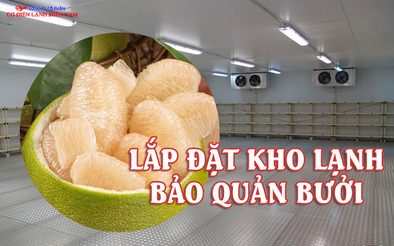 Bưởi được sắp xếp trong kho lạnh bảo quản