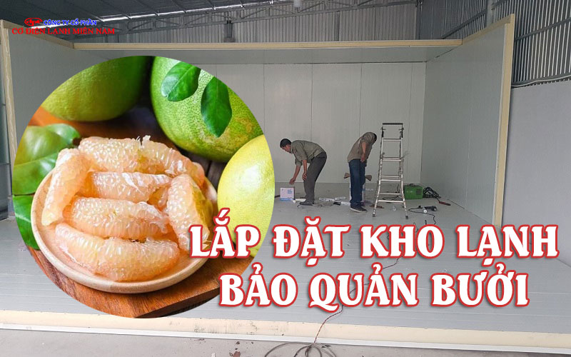 Kho lạnh bảo quản bưởi công nghiệp lắp đặt thực tế