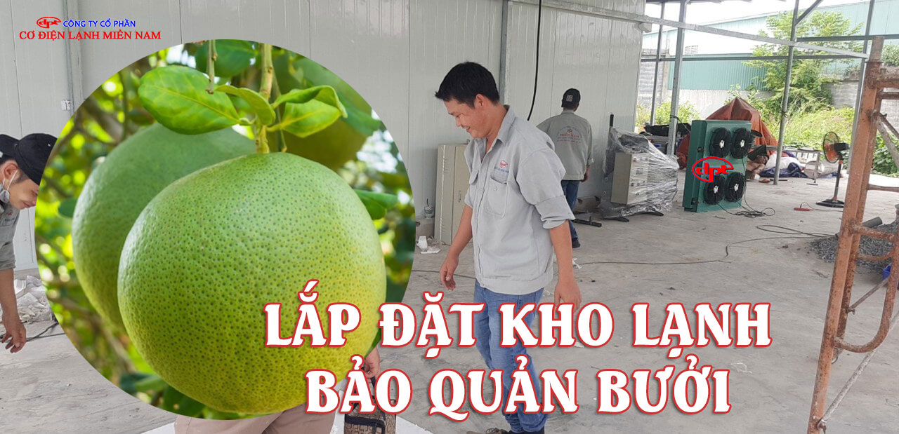 Thi công lắp đặt kho lạnh bảo quản bưởi tại công trình