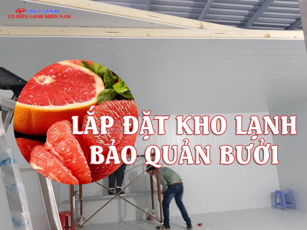 Hệ thống làm lạnh kho bảo quản bưởi chuyên nghiệp