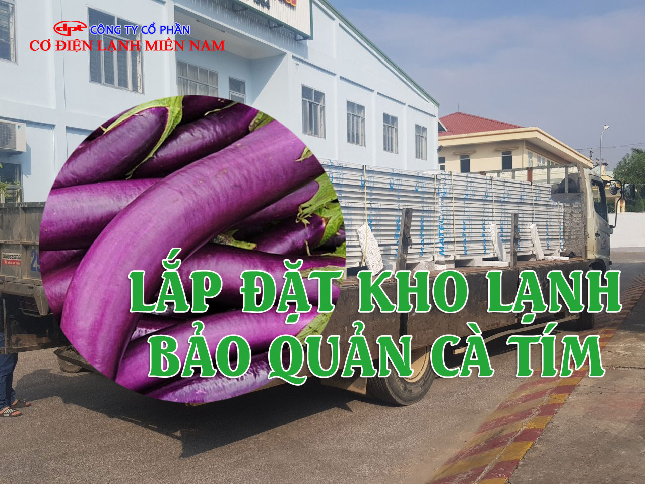 Kho lạnh bảo quản cà tím với hệ thống kệ sắp xếp gọn gàng, đảm bảo nhiệt độ ổn định