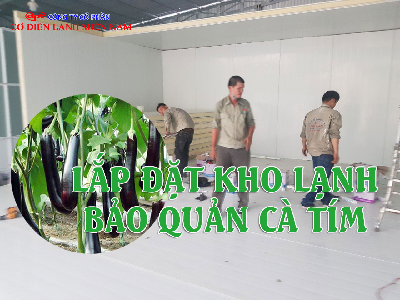 Cà tím tươi được bảo quản trong kho lạnh giúp giữ độ tươi ngon và chất lượng lâu dài