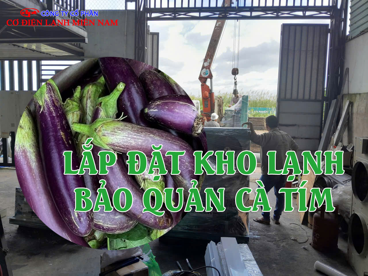 Tủ điều khiển kho lạnh bảo quản cà tím với hệ thống theo dõi và điều chỉnh nhiệt độ thông minh