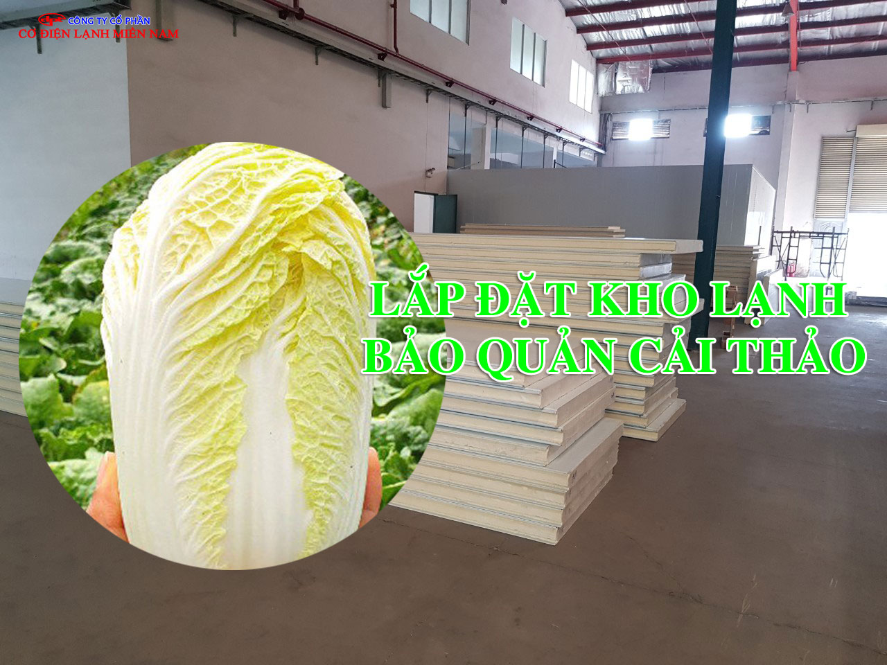 Hệ thống làm lạnh kho bảo quản cải thảo vận hành ổn định