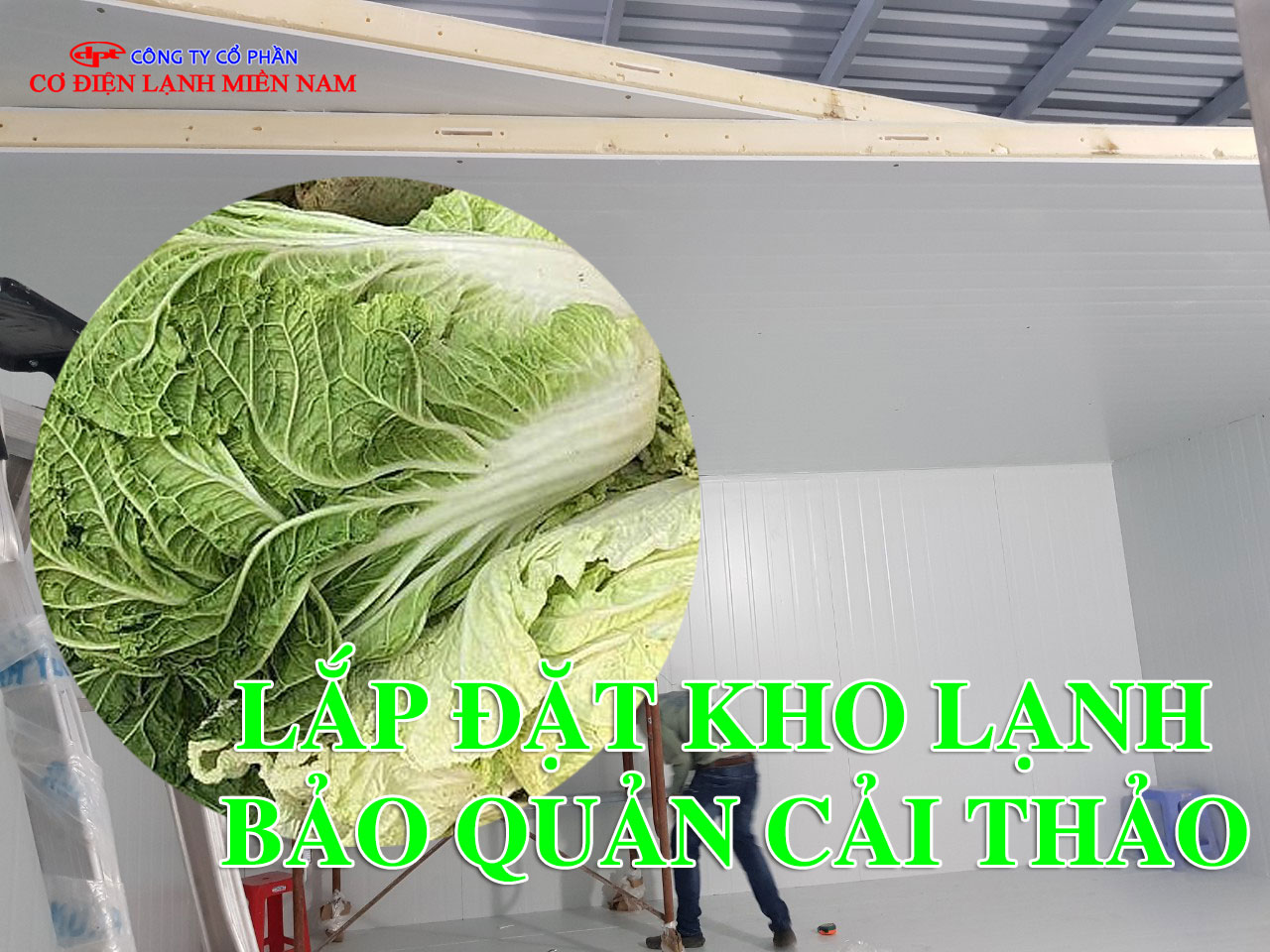 Thi công kho lạnh bảo quản cải thảo tại TP.HCM đạt chuẩn