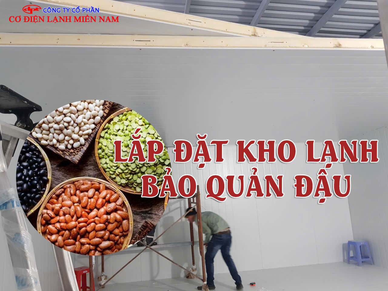 Các loại đậu tươi như đậu Hà Lan, đậu ván, đậu que được bảo quản trong kho lạnh