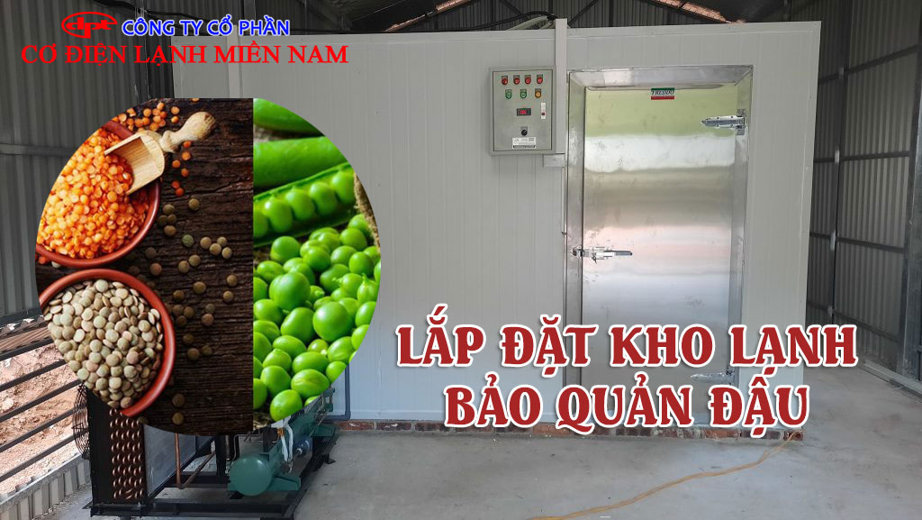 Bên trong kho lạnh bảo quản đậu được sắp xếp gọn gàng, sạch sẽ và khoa học