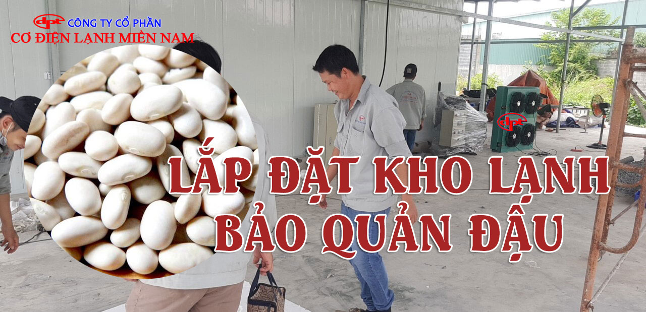 Đội ngũ kỹ thuật lắp đặt kho lạnh bảo quản đậu kiểm tra hệ thống vận hành thực tế