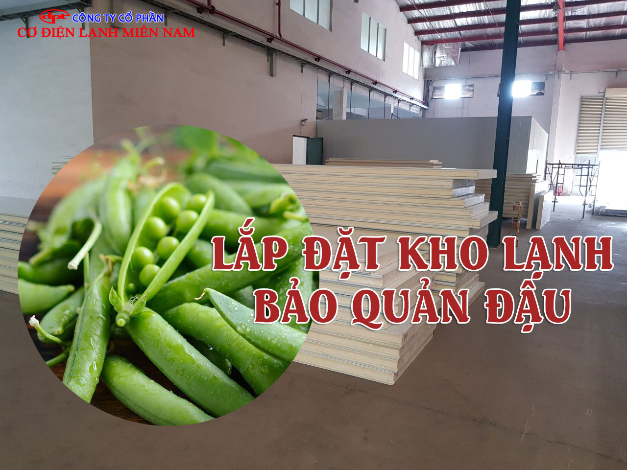 Lắp đặt kho lạnh bảo quản đậu với hệ thống panel cách nhiệt và dàn lạnh hiện đại