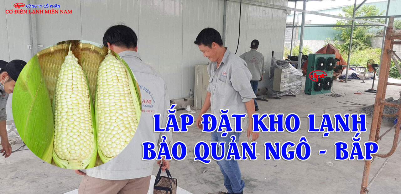 Hệ thống máy móc kho lạnh bảo quản ngô tiết kiệm điện