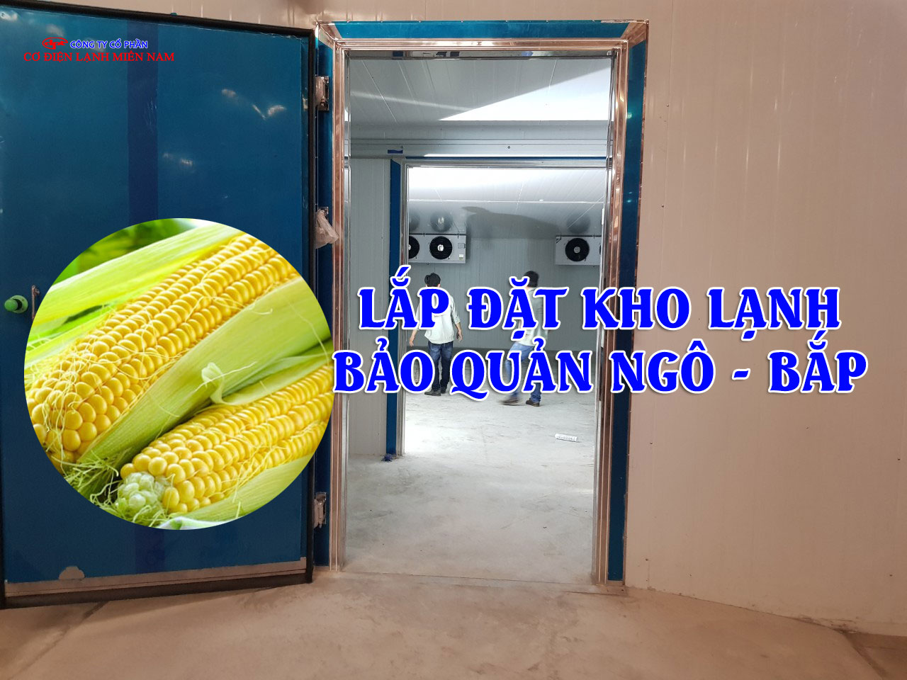 Ngô được bảo quản trong kho lạnh đạt tiêu chuẩn