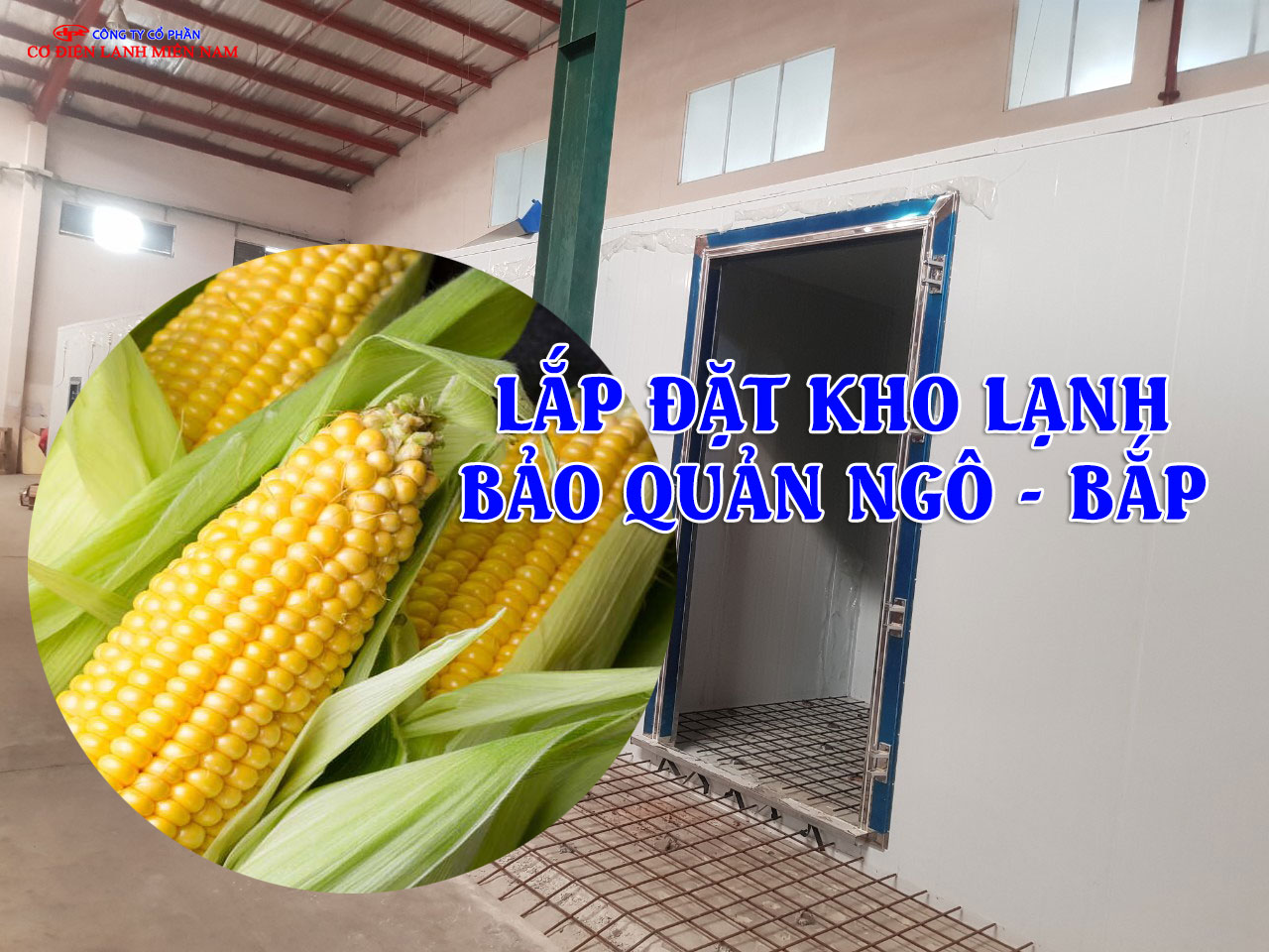 Kho lạnh bảo quản ngô công nghiệp tại Điện Lạnh Miền Nam