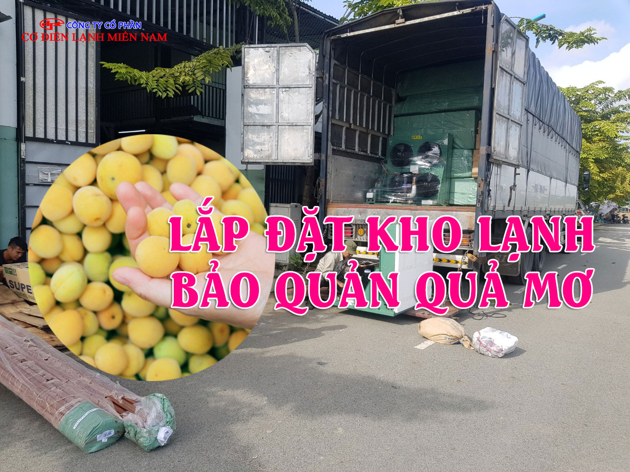 Thi công kho lạnh bảo quản quả mơ tại Điện Lạnh Miền Nam