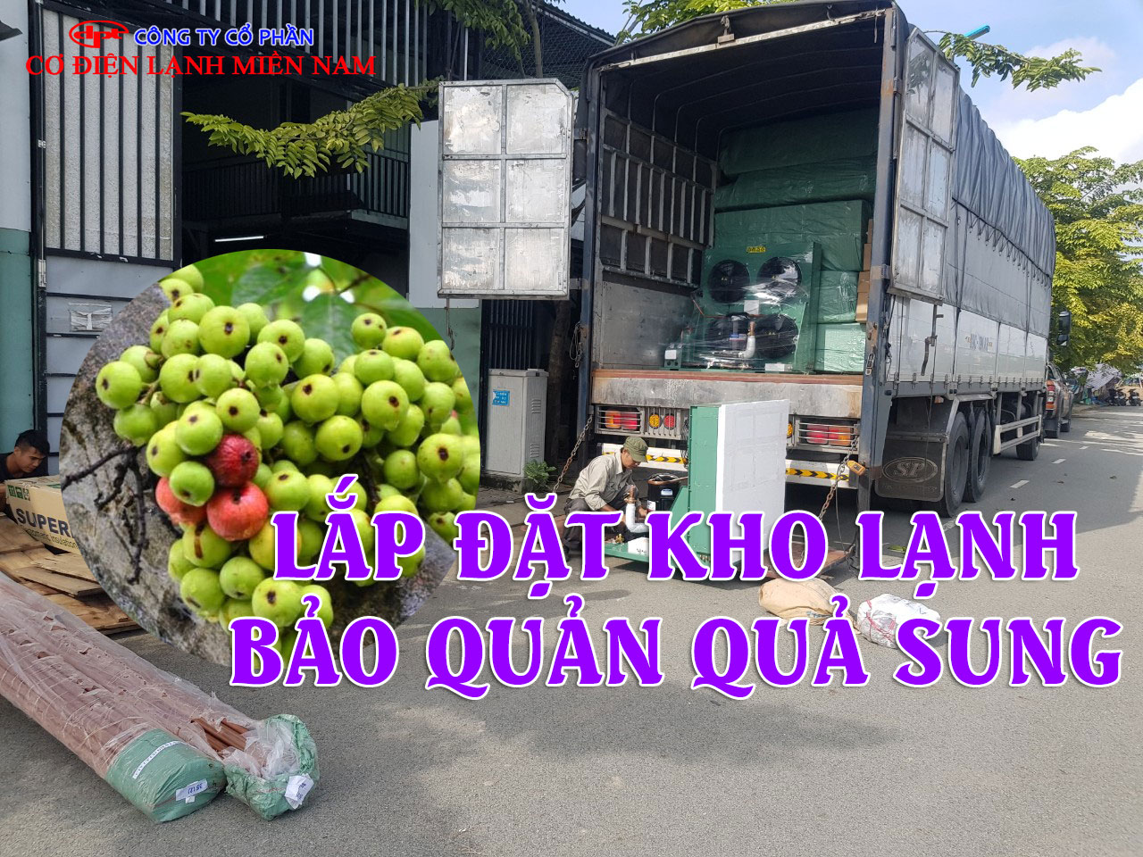 Hệ thống dàn lạnh công nghiệp và máy nén Copeland trong kho lạnh