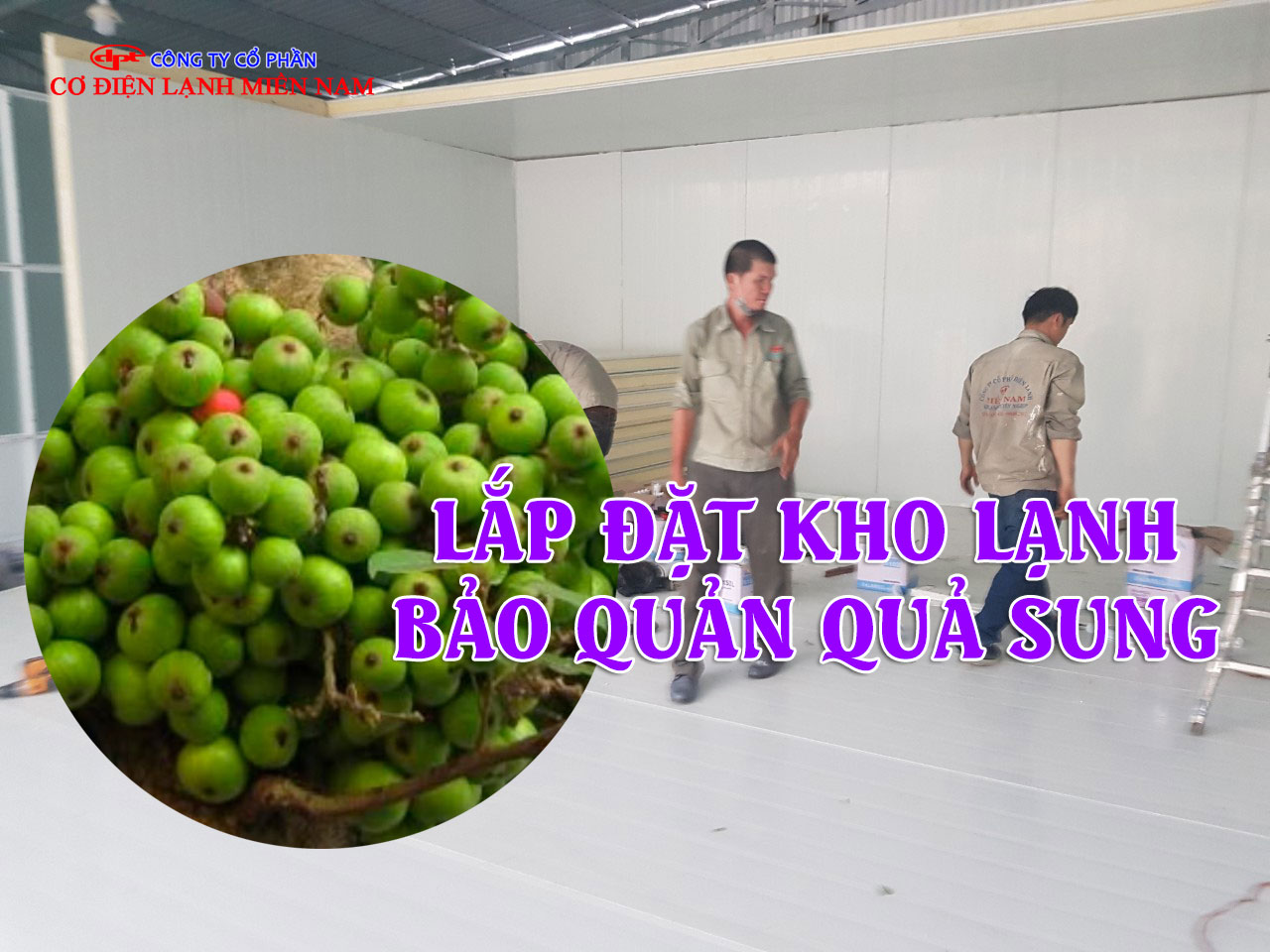 Bên trong kho lạnh bảo quản quả sung với hệ thống thông gió và chiếu sáng LED