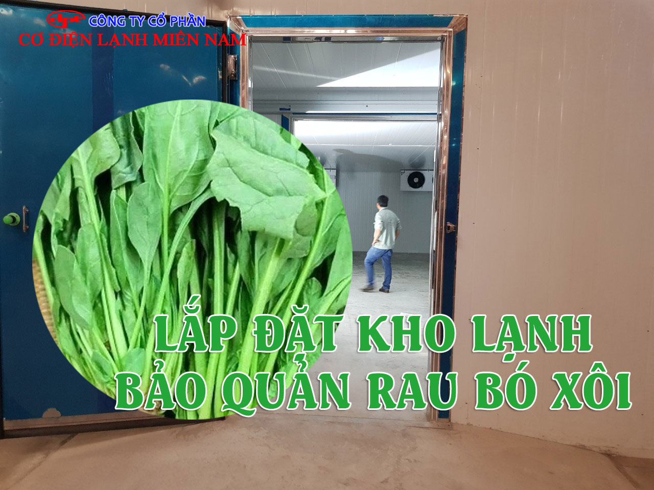 Điện Lạnh Miền Nam thi công kho lạnh bảo quản rau bó xôi chuyên nghiệp