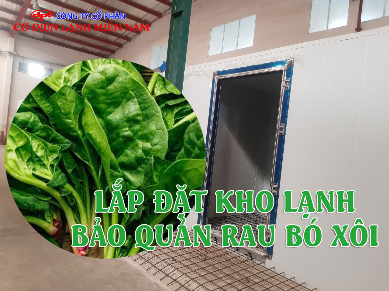 Hệ thống kho lạnh bảo quản rau bó xôi tại TP.HCM do Điện Lạnh Miền Nam lắp đặt
