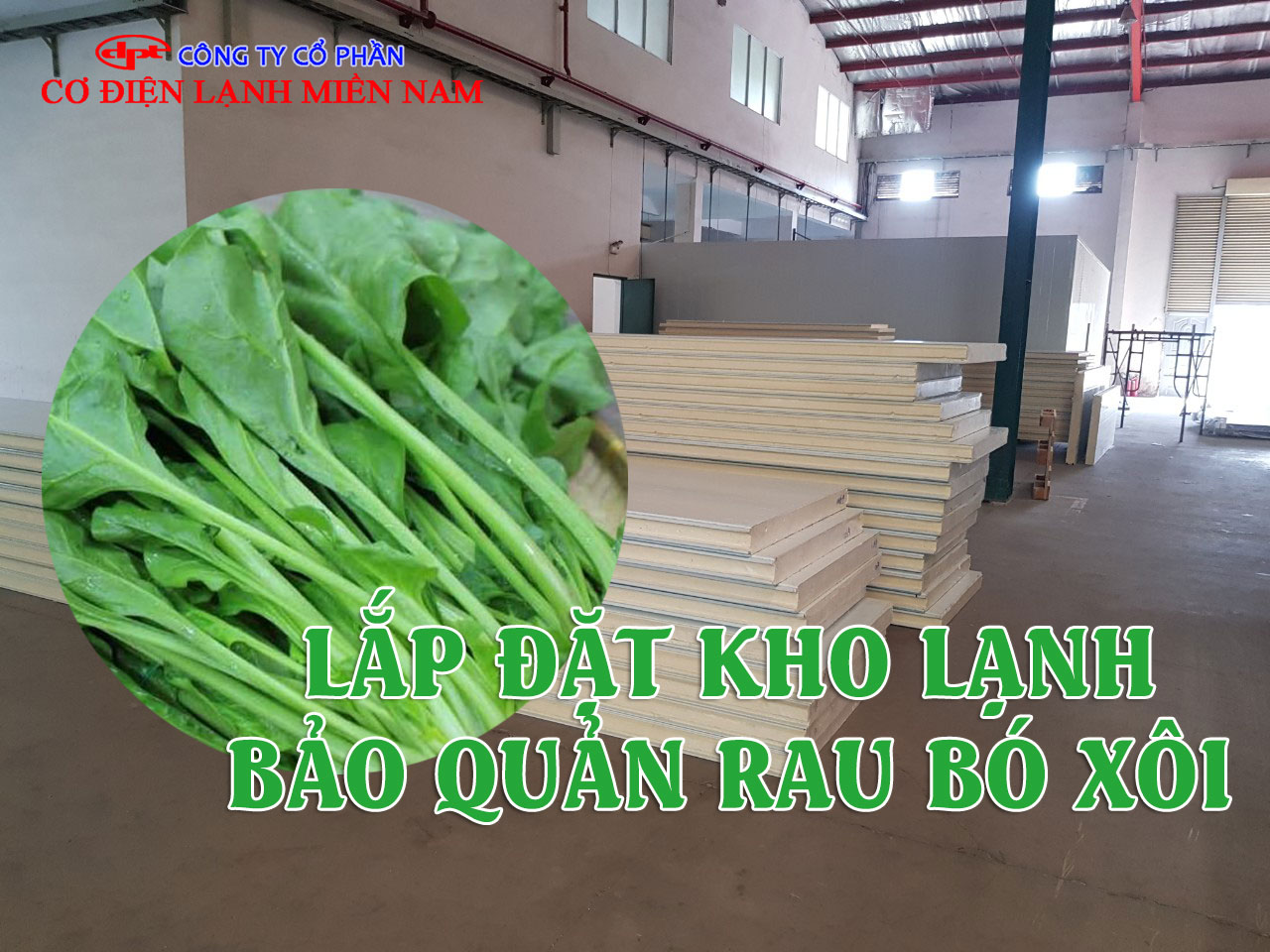 Bên trong kho lạnh bảo quản rau bó xôi với dàn lạnh và vỏ kho đạt chuẩn