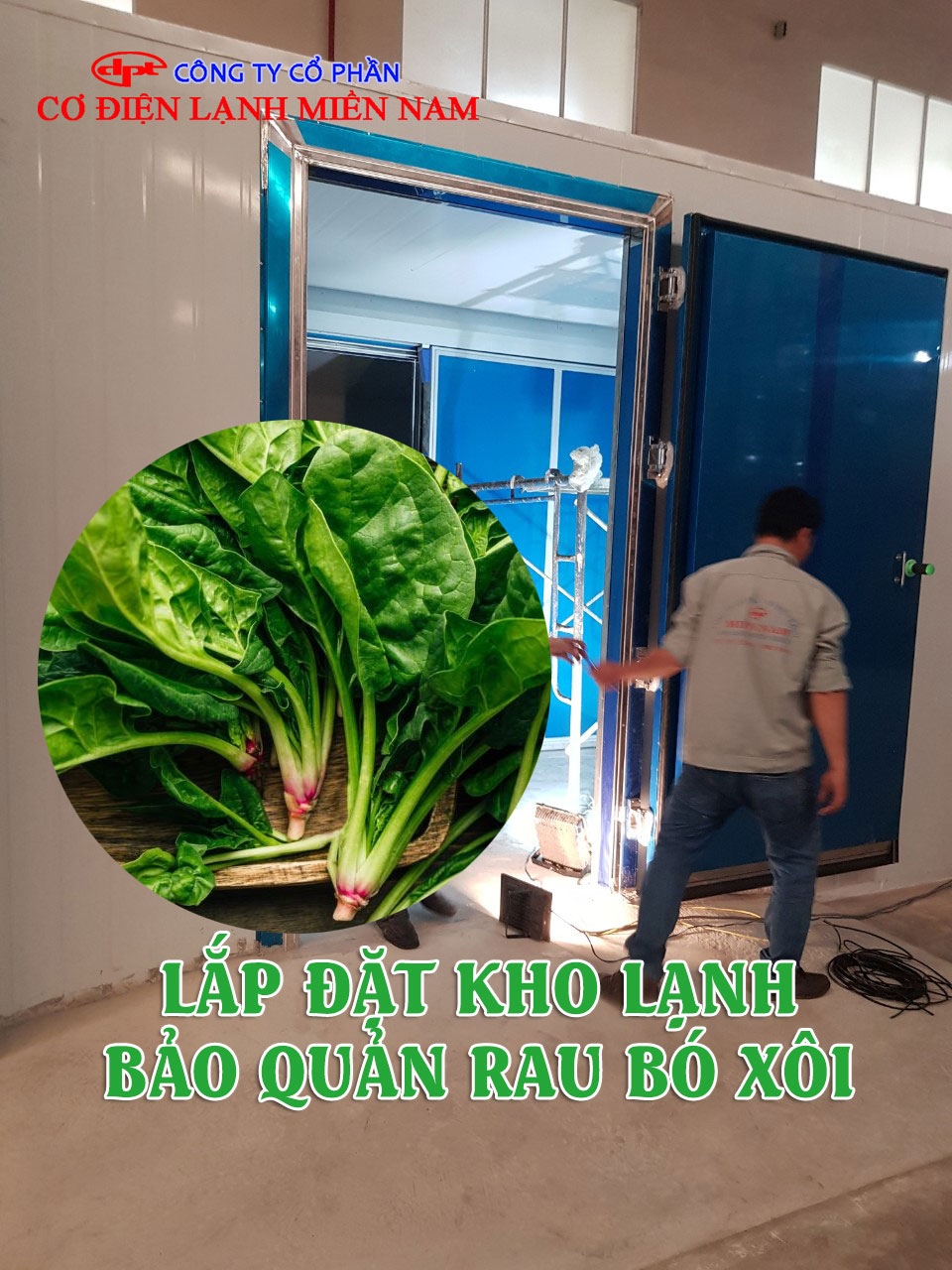 Điện Lạnh Miền Nam tư vấn thiết kế và lắp đặt kho lạnh bảo quản rau bó xôi