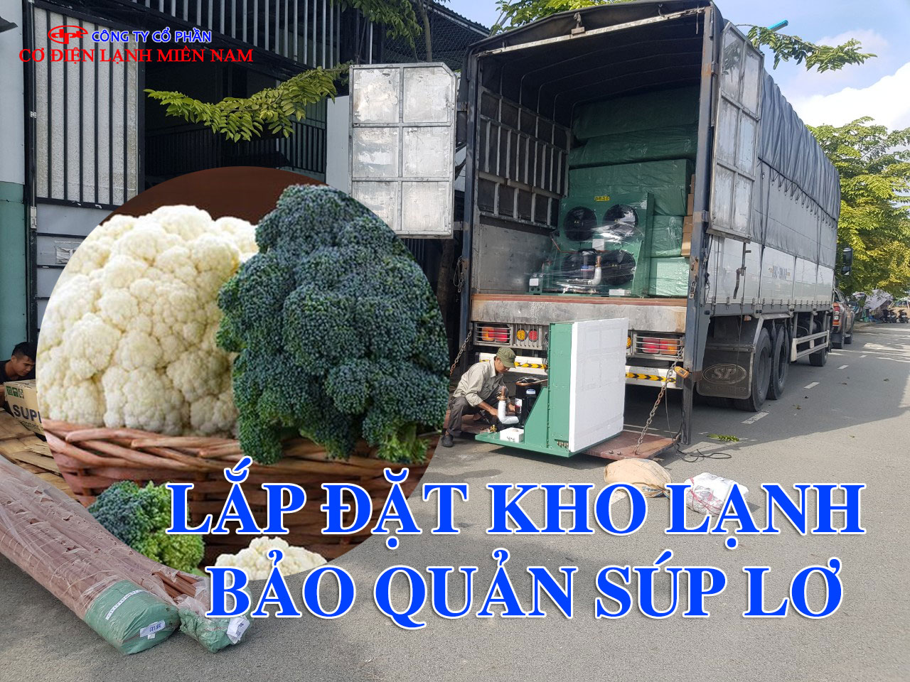 Kho lạnh bảo quản súp lơ tươi sau thu hoạch