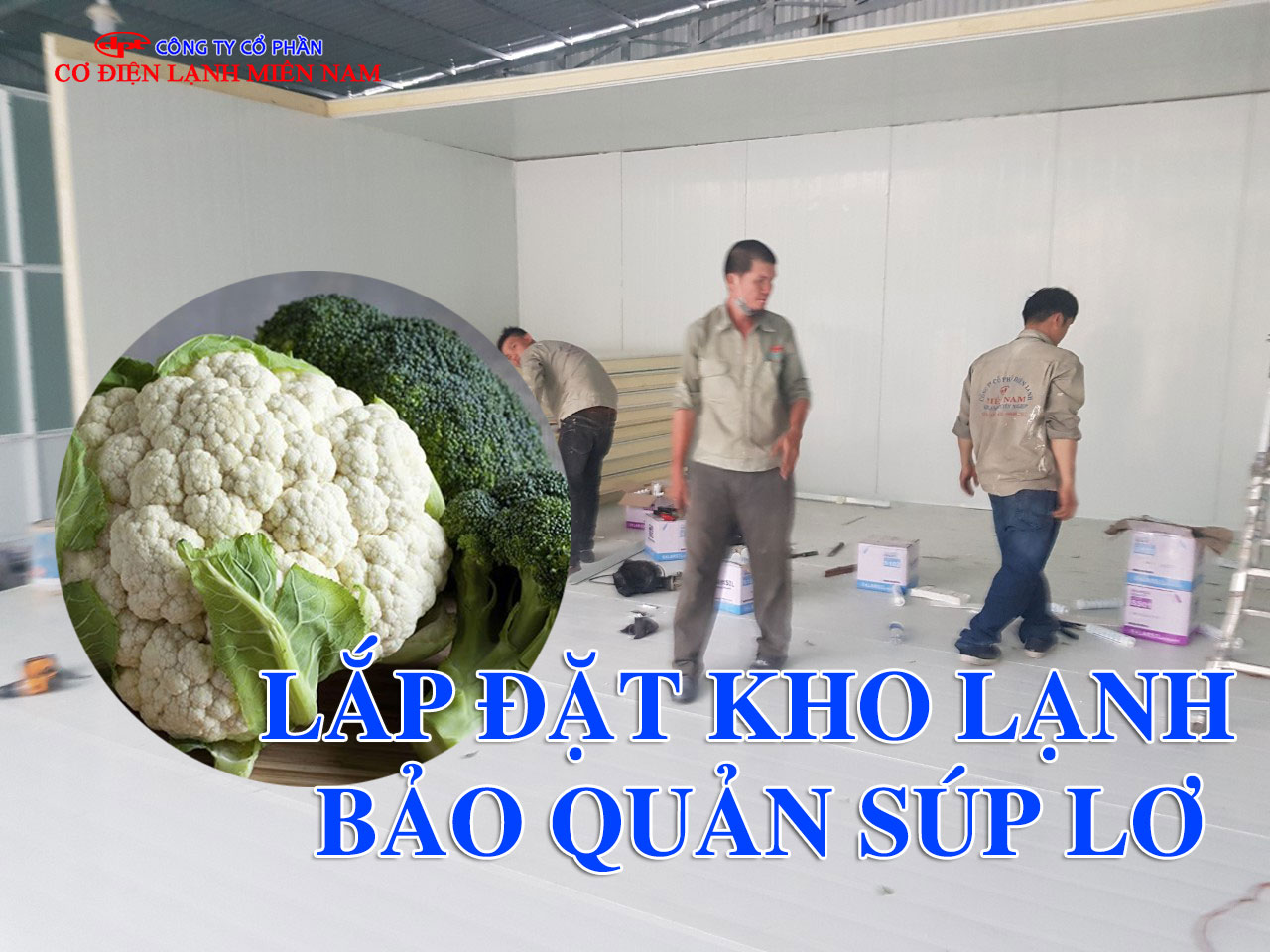 Súp lơ tươi được bảo quản trong kho lạnh nông sản