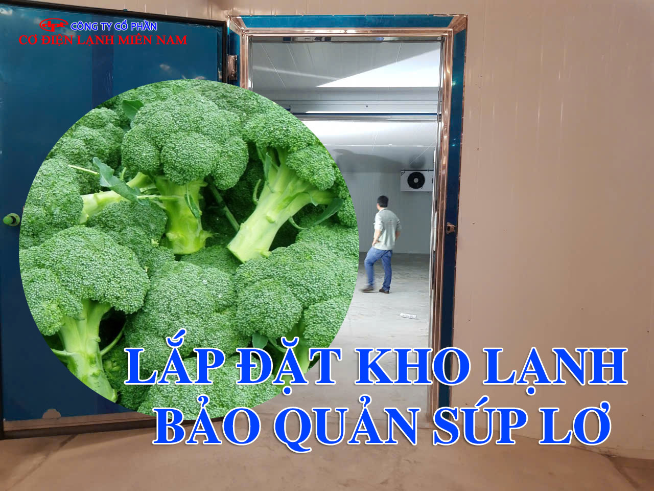 Súp lơ xanh bảo quản trong kho lạnh rau củ