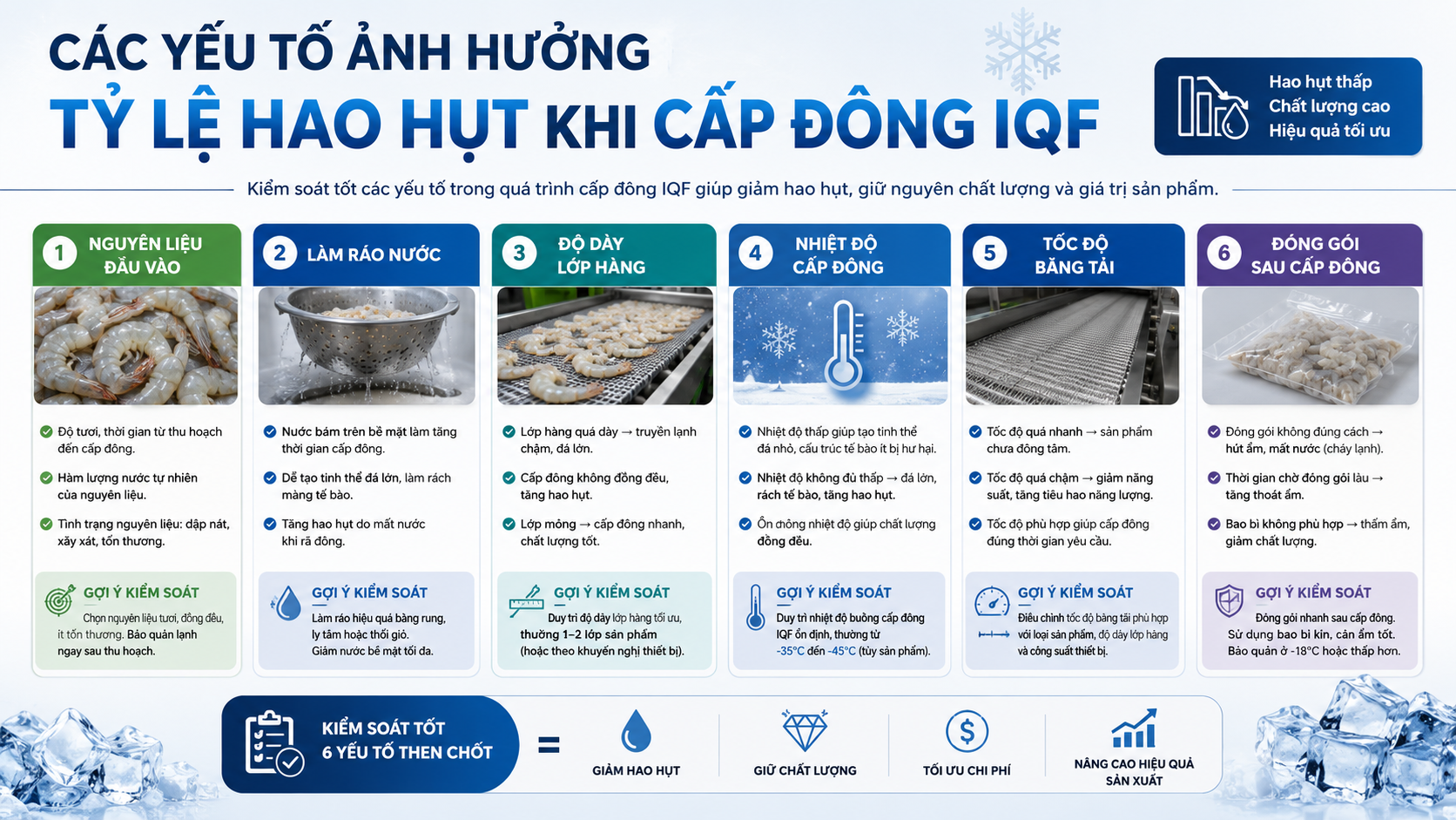 Infographic các yếu tố ảnh hưởng đến tỷ lệ hao hụt khi cấp đông IQF gồm nguyên liệu, làm ráo, nhiệt độ và đóng gói.
