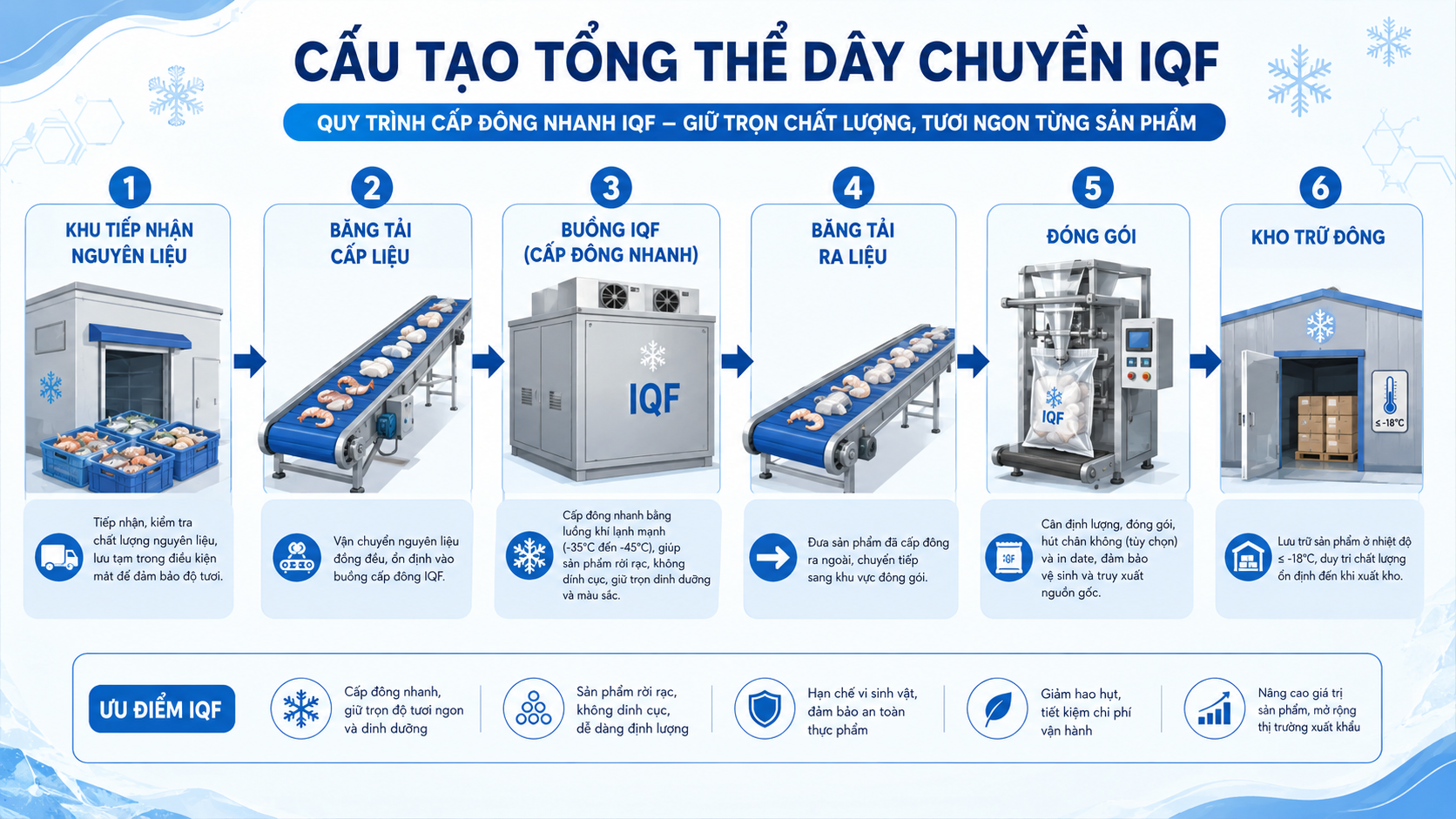 Sơ đồ tổng thể dây chuyền IQF gồm tiếp nhận nguyên liệu, băng tải cấp liệu, buồng đông, đóng gói và kho trữ đông.